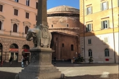 “Pulcino della Minerva,” or "Minerva’s Chick"