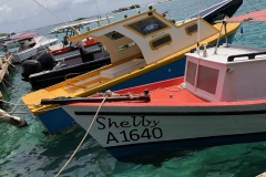 Arub: Fishing Boats at Savaneta