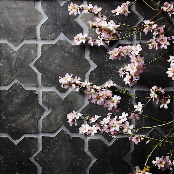 cle tile: Belgian reproduction, star cross flemish black blossom-photograph-Laurie-Frankel-2-highres (1)