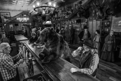 A Bear Walks Into a Bar by David Yarrow