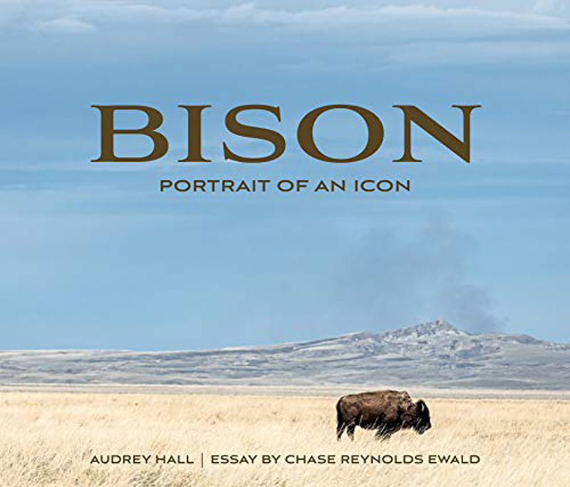 Bison-cover