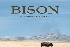Bison-cover