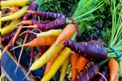 Farm to Table, Chatham Bars Inn
