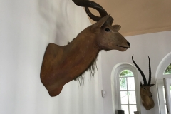 Kudu, Finca Vigia