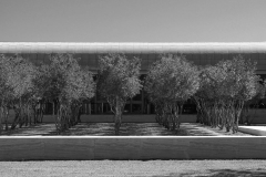 Kimbell-Art-Museum-photo-by-Paul-Clemence-5
