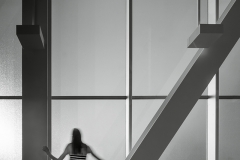 Photo by Nic Lehoux