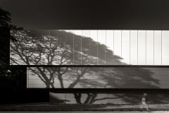 Photo by Nic Lehoux