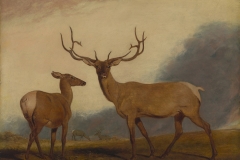 Abraham Cooper, R. A. (English, 1787–1868). The Wapati or North American Deer, 1818. Oil on panel, 10 7/8 x 14 1/8 in. Virginia Museum of Fine Arts, Richmond, Paul Mellon Collection, 85.487. Image © Virginia Museum of Fine Arts. Photo: Travis Fullerton