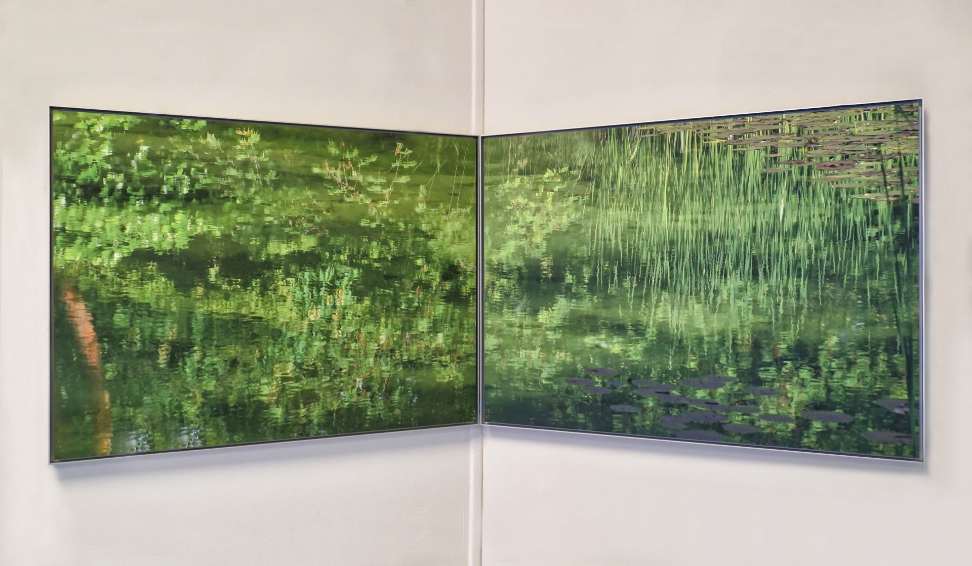 8-Exhibit-view-featuring-diptych-taken-at-Beyeler-Foundation-garden-by-Paul-Clemence-instalaltion-shot-by-Harold-Estime-courtesy-of-Miami-Beach-Botanical-Garden