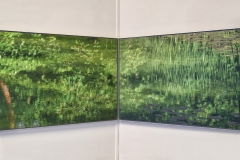 8-Exhibit-view-featuring-diptych-taken-at-Beyeler-Foundation-garden-by-Paul-Clemence-instalaltion-shot-by-Harold-Estime-courtesy-of-Miami-Beach-Botanical-Garden