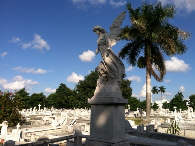 Havana Necropolis