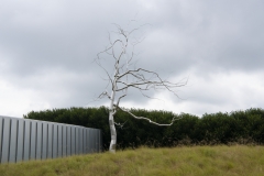 North Carolina Museum of Art West Building; Askew by Roxy Paine