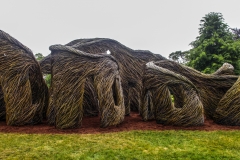 HIGHFIELD-A Passing Fancy: Patrick Dougherty