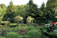 The Garden of Peter Marino