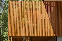 Privacy House, Arielle Schecter