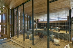 Barn Interior,  Lamplighter School, Blackwell Architects