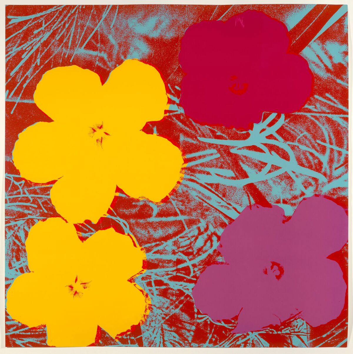 Flowers, 1967, © 2017 The Andy Warhol Foundation for the Visual Arts, Inc. / Artists Rights Society (ARS), New York. Andy Warhol (American, 1928-1987) Flowers, c.1967 color silkscreen on paper 36 1/16 x 36 in. (91.6 x 91.5 cm) Williams College Museum of Art, Williamstown, MA: Gift of Tennyson and Fern Schad, Class of 1952 (84.17.1)