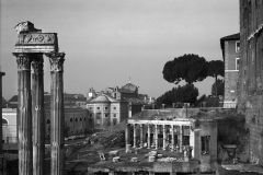 ROME-ROMAN-FORUM