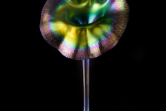 Tiffany Studios, Jack-in-the-Pulpit Vase, 1907–10, blown glass. Photograph by John Faier. © 2013 Driehaus Museum