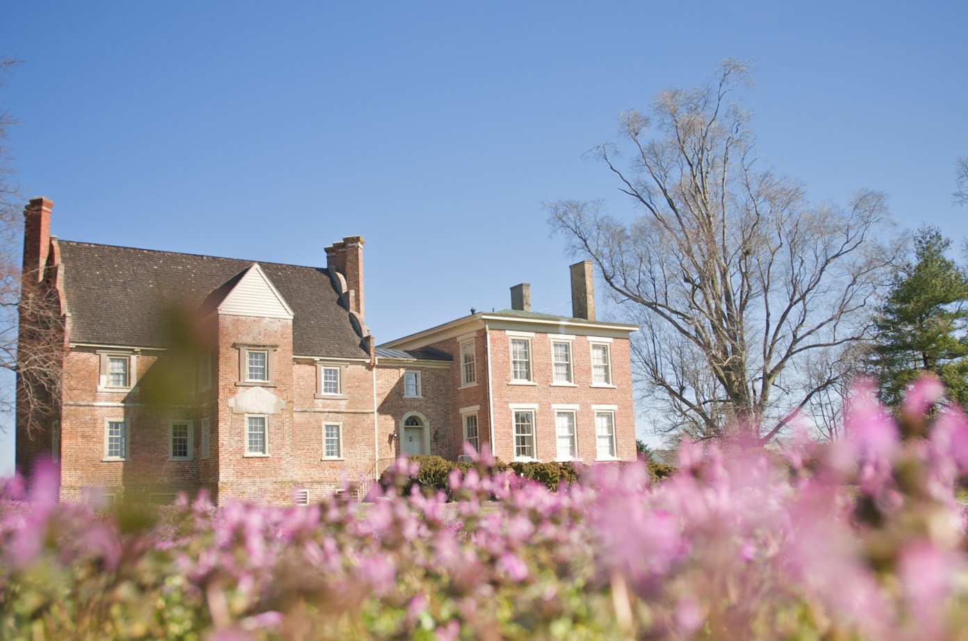 Surry County: Bacon's Castle (U.S. National Park Service)