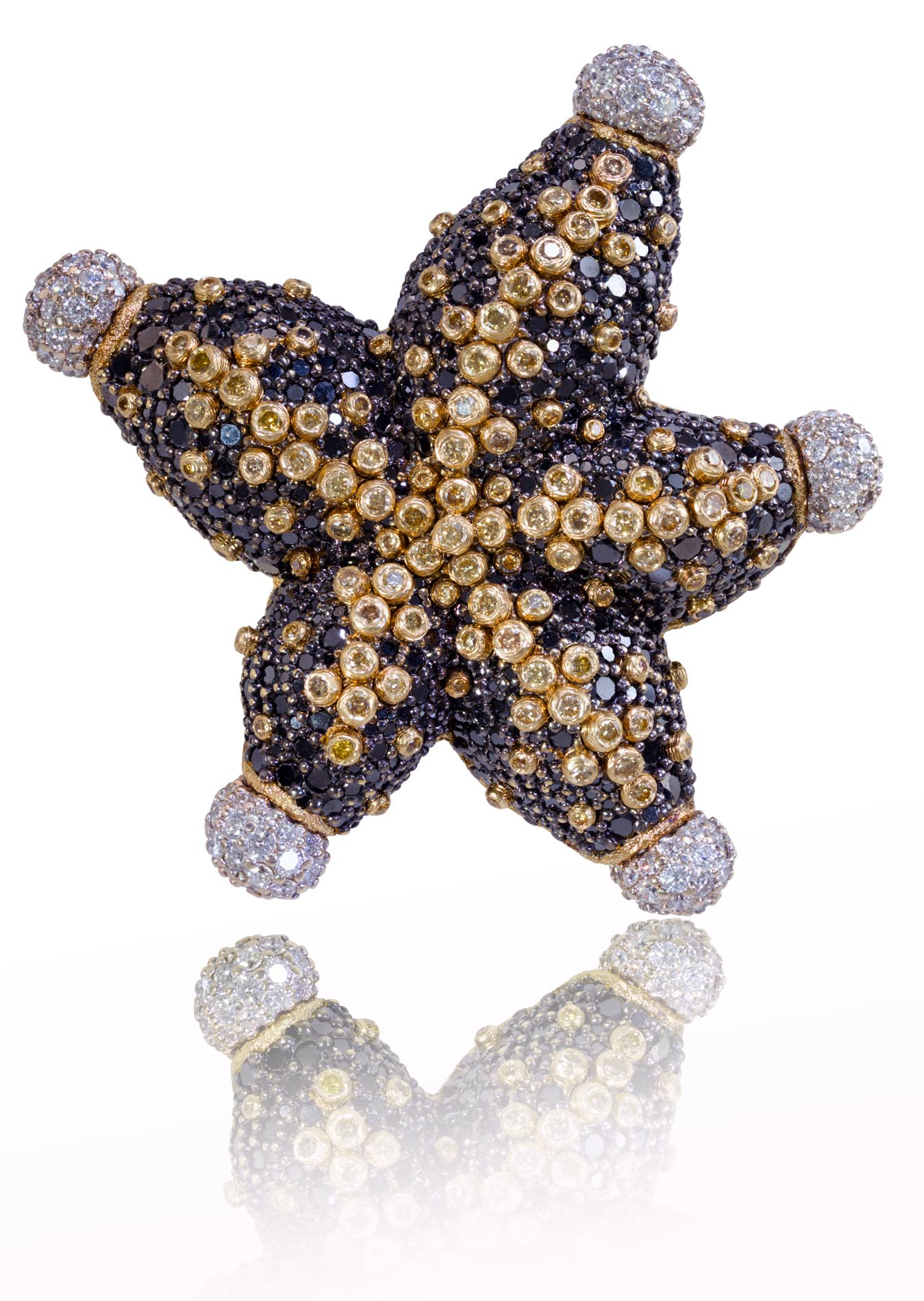 alex-soldier-diamond-starfish-lr