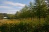 allee1
