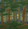 trrf_forrest_le-boutillier_1905