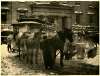trrf_the-terminal_stieglitz_1892