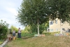 alleycat-acres-2