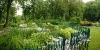 2-riley-levin-childrens-garden_-pond-and-habitat-garden