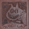 blindy-cat