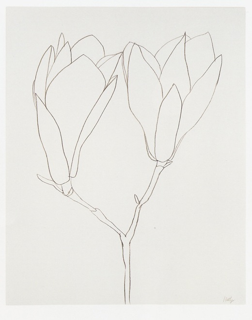ellsworth-kelly-magnolia