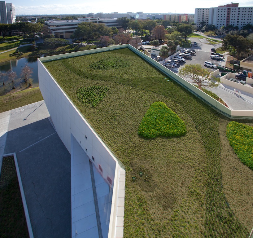 green-roof-aa