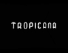 tropicana6