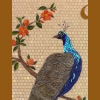 peacock-head-detail-on-brown-square-ok