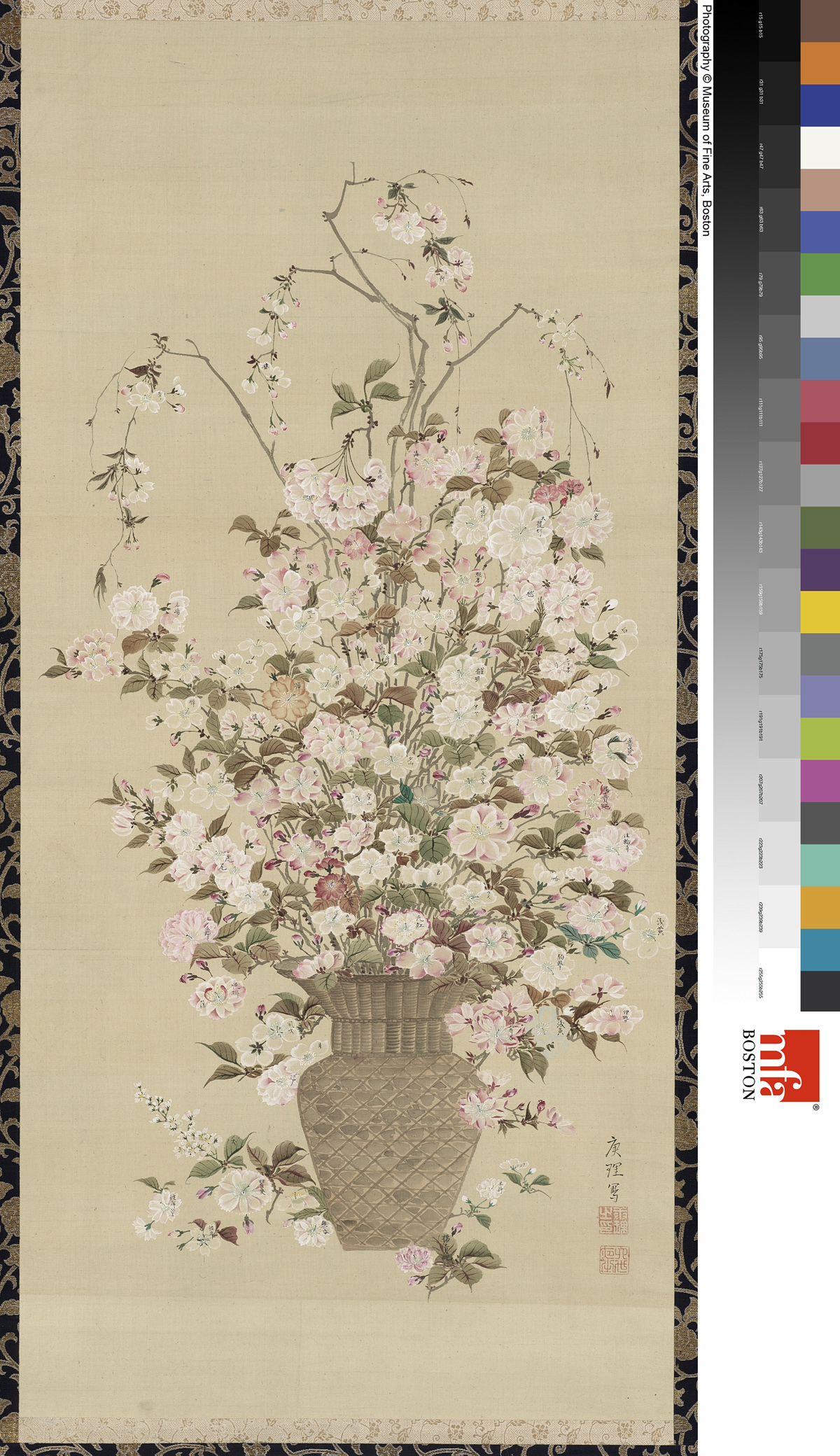 Kori_Varieties of Cherry Blossoms_MFA_11