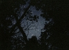 10_Megan_Cump_untitled_X