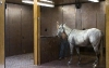 Rigidized Metals Horse Stable 2_Hammered copper wall cladding