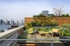 Tribeca Loft