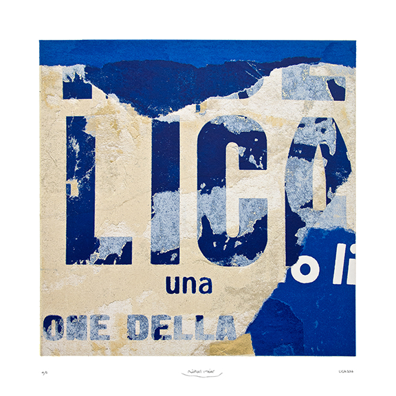 lica-2014-print-from-gle