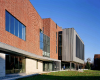 molloy10