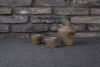 spin-ceramics_jeremy-patlen-photography_img_0566