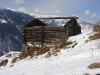 dsc02681-copy