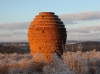 Nest