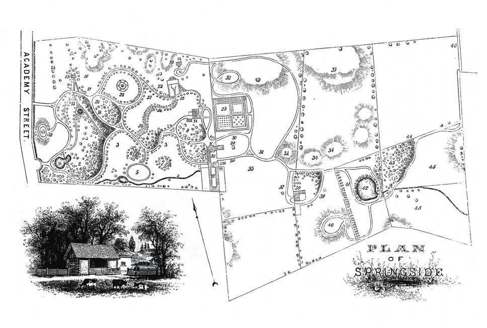 springside-landscape-plan