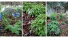 WoodlandCottage_10